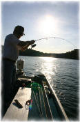 Mike Beck lands carp on top water lure